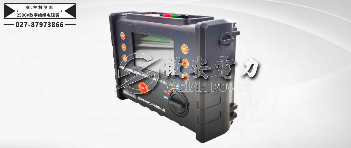 2500V數(shù)字絕緣電阻表主機(jī)側(cè)面