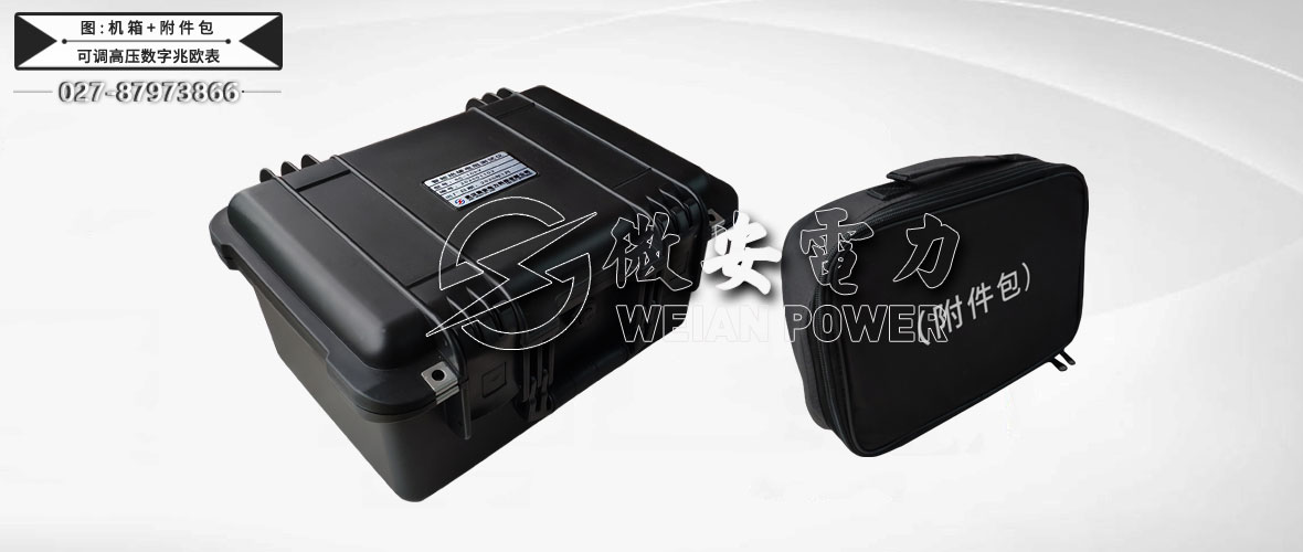 10kV可調(diào)高壓數(shù)字兆歐表機(jī)箱及附件包