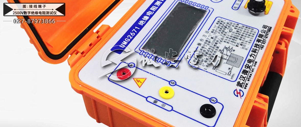 2500V數(shù)字絕緣電阻測試儀接線端子