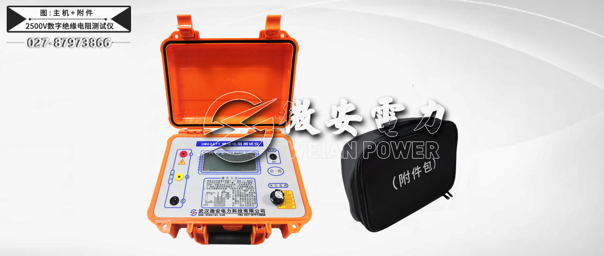2500V數(shù)字絕緣電阻測試儀面板