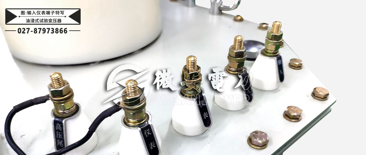 油浸式試驗(yàn)變壓器輸入儀表端子特寫